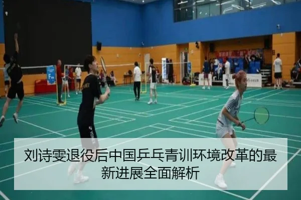 刘诗雯退役后中国乒乓青训环境改革的最新进展全面解析